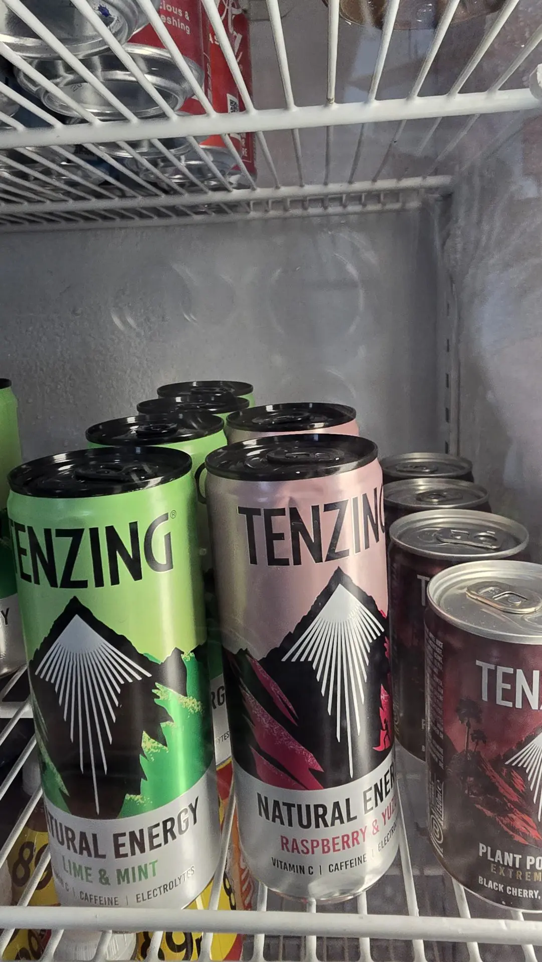 Tenzing Origianal