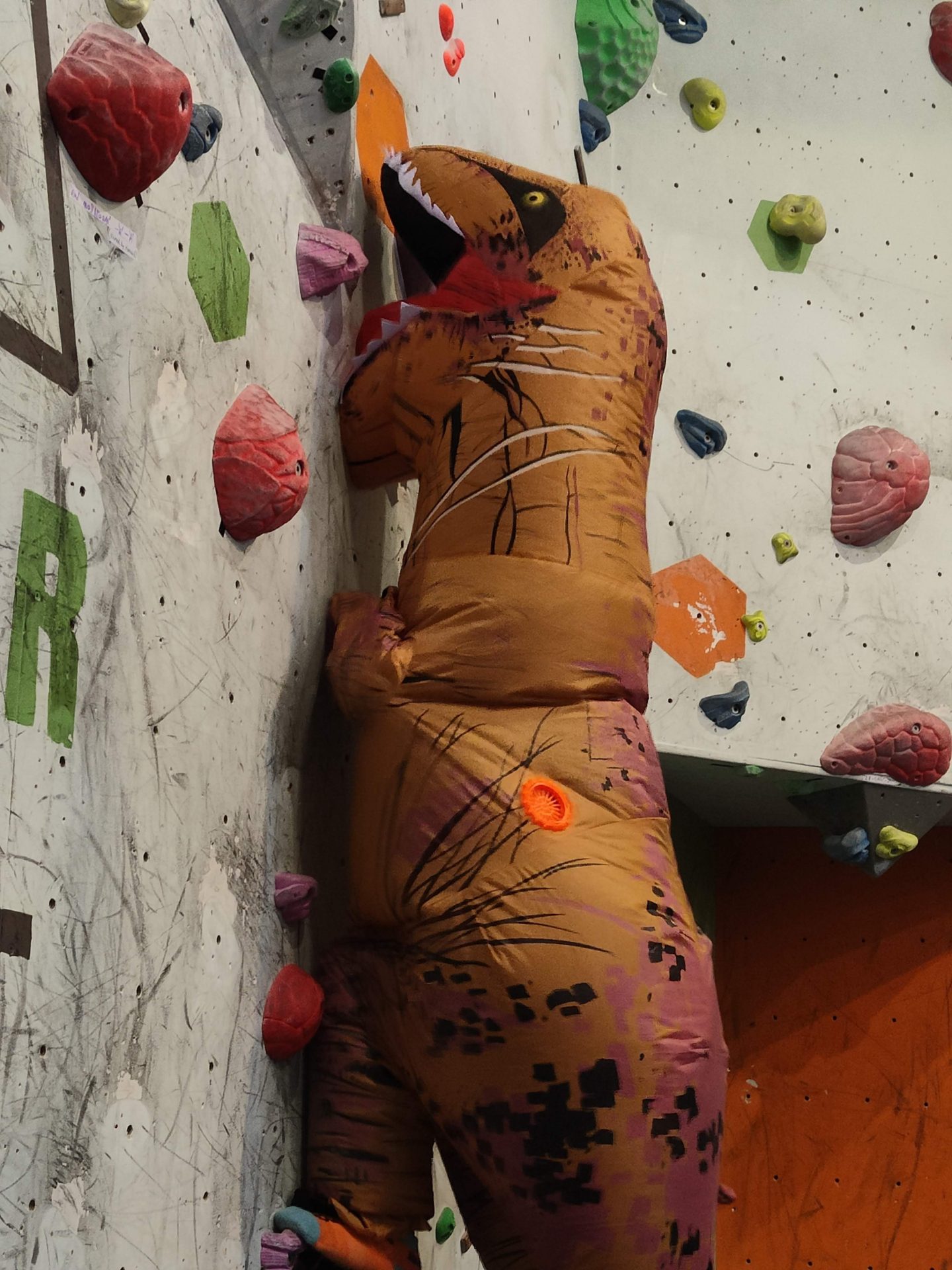 Halloween dinosaur costume on the climbing wall